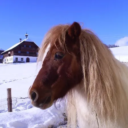 Hirterhuette Semesterbostad Abtenau