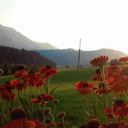 Semesterbostad Hirterhuette *