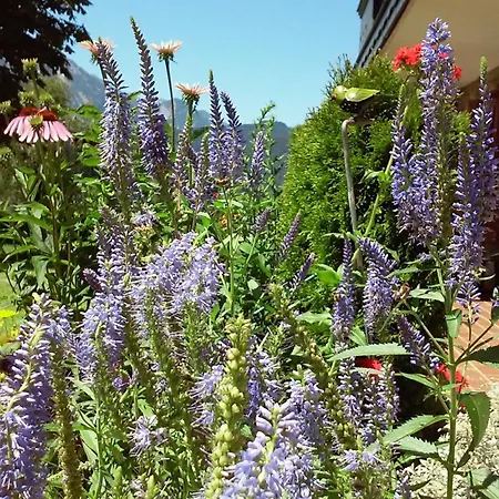 Semesterbostad Hirterhuette Abtenau