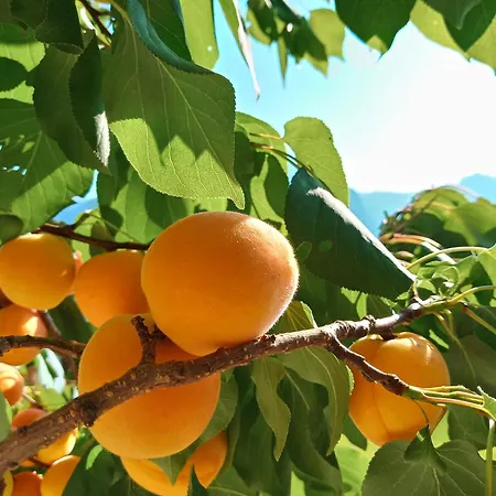 Hirterhuette * Abtenau