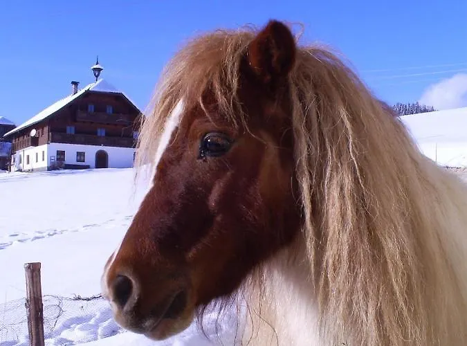 Hirterhütte Сasa de vacaciones Abtenau