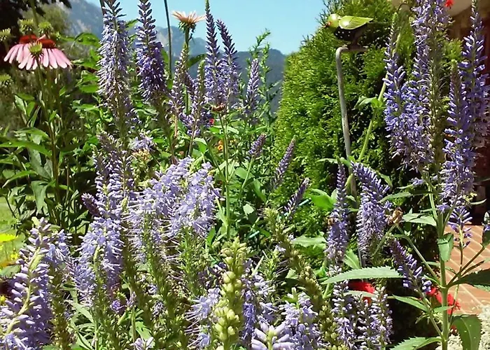 Сasa de vacaciones Hirterhütte Abtenau