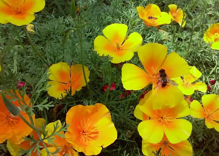 Hirterhütte Сasa de vacaciones Abtenau