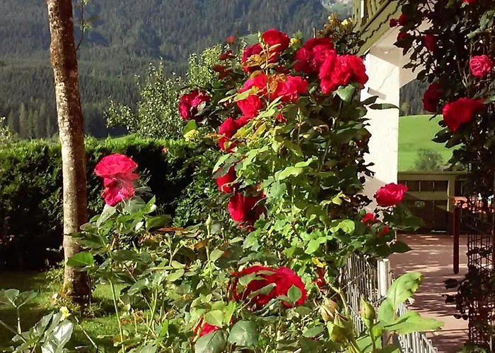 Hirterhütte Abtenau