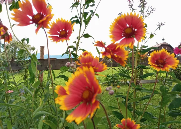 Hirterhütte Abtenau